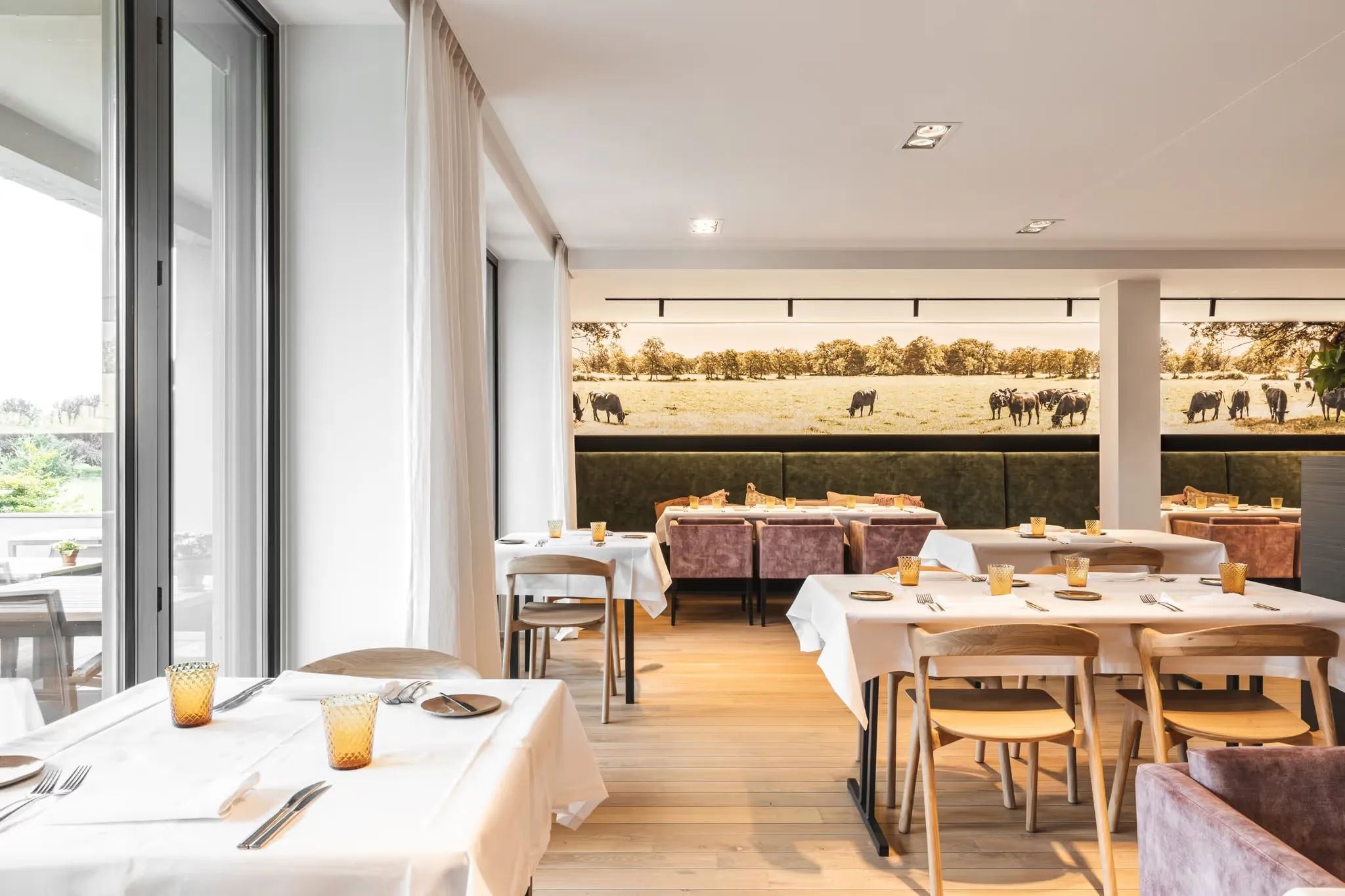 De zaal van Restaurant Argendael in het daglicht: gedekte tafels met wit linnen en amberkleurige glazen, houten stoelen, de groene bank en erboven de wandfoto van de kudde